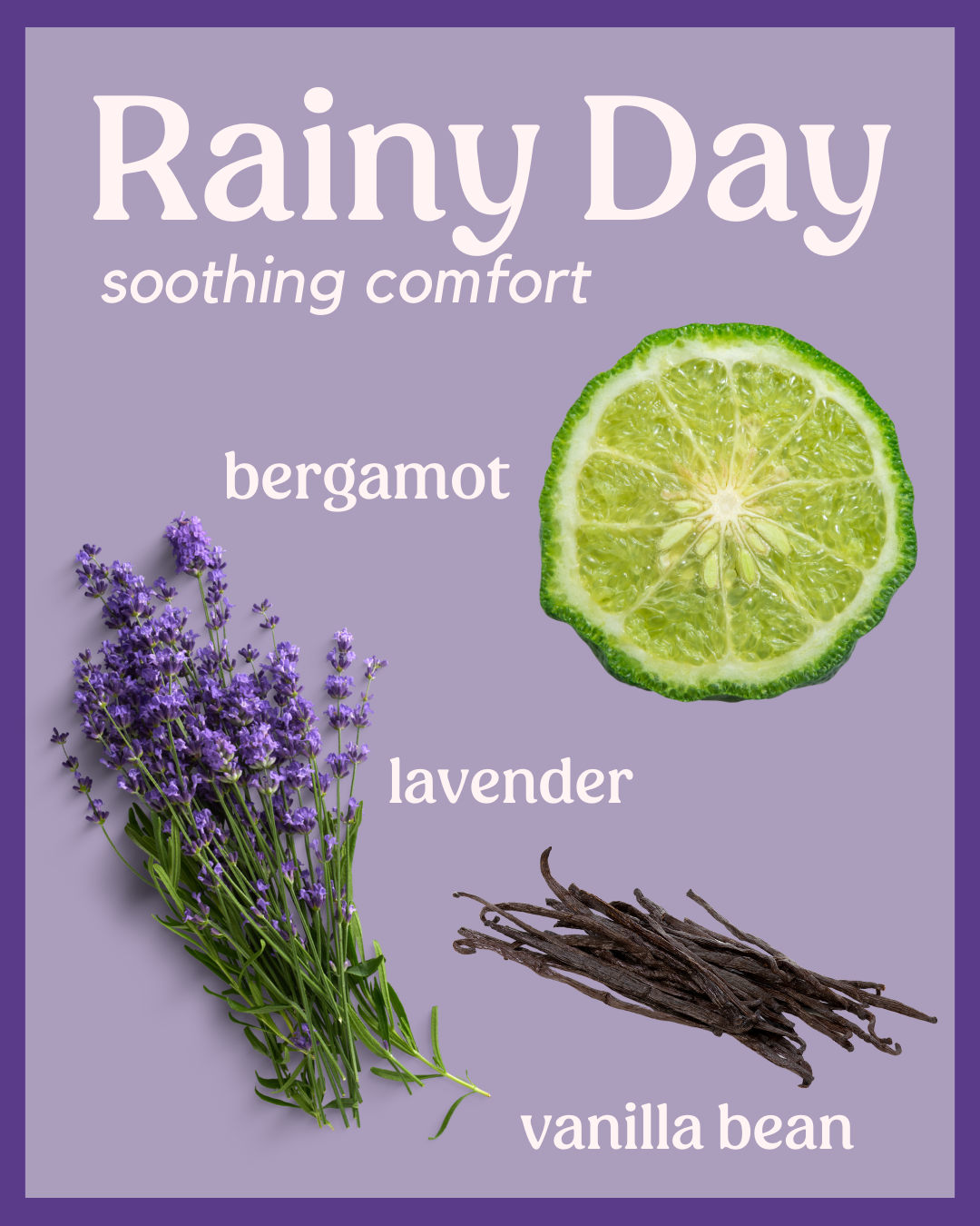 Rainy Day