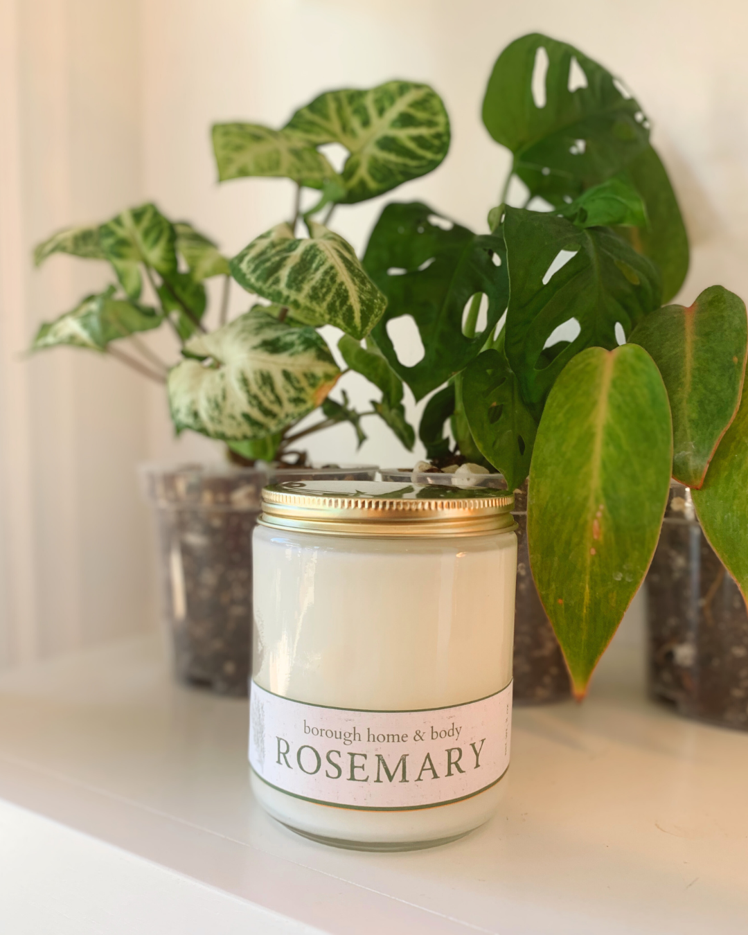 Rosemary candle in straight-sided glass jar with gold lid, Botanical Collection, small-batch soy wax candle with fresh herbal scent