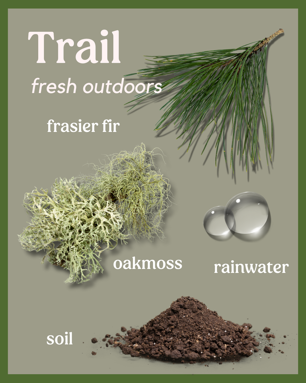 Trail