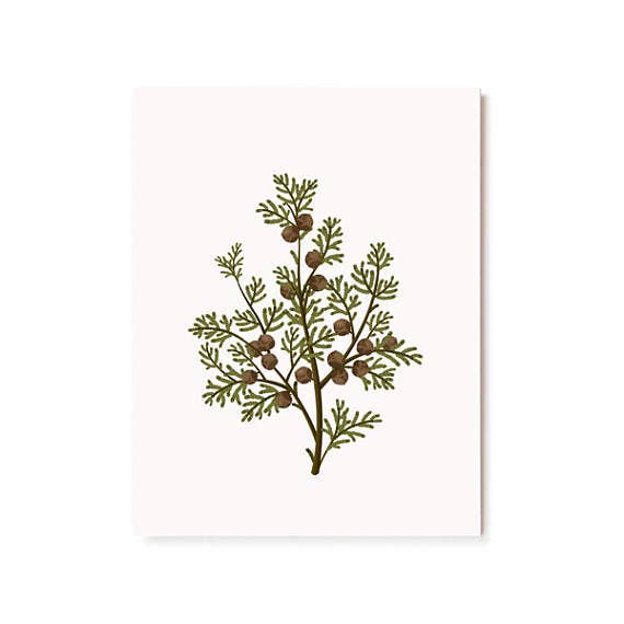 Botanical Scented Card - Hinoki