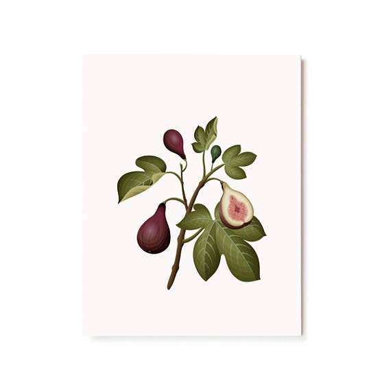 Botanical Scented Card - Fig