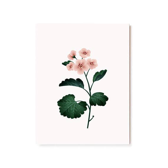 Botanical Scented Card - Geranium