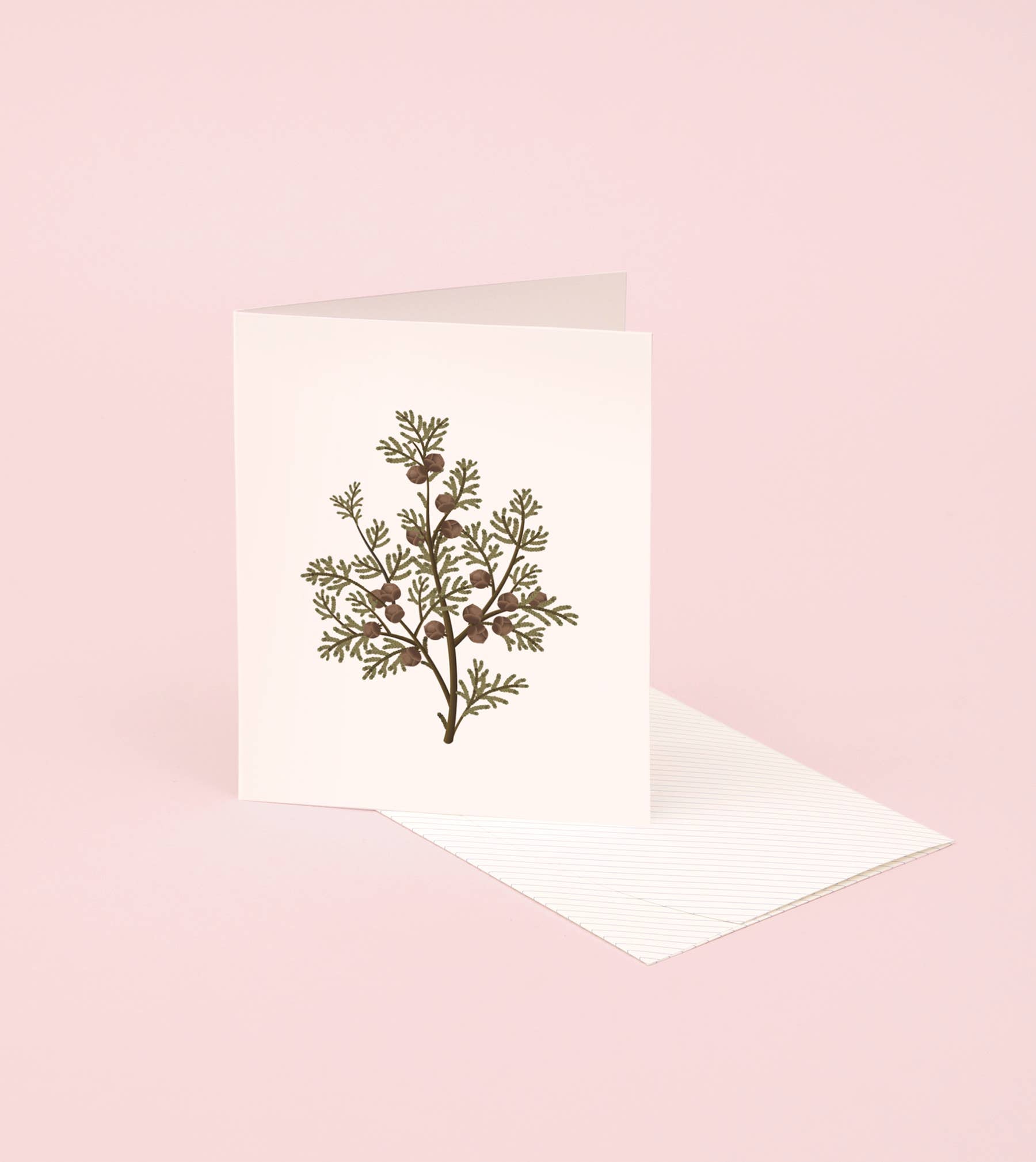 Botanical Scented Card - Hinoki