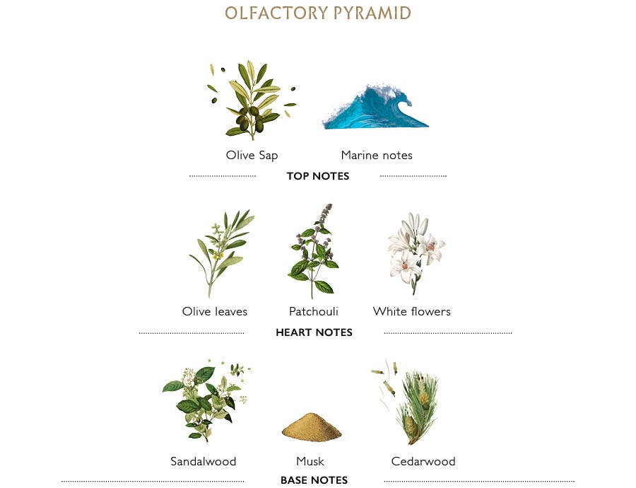 L'Olivier Eau de Parfum