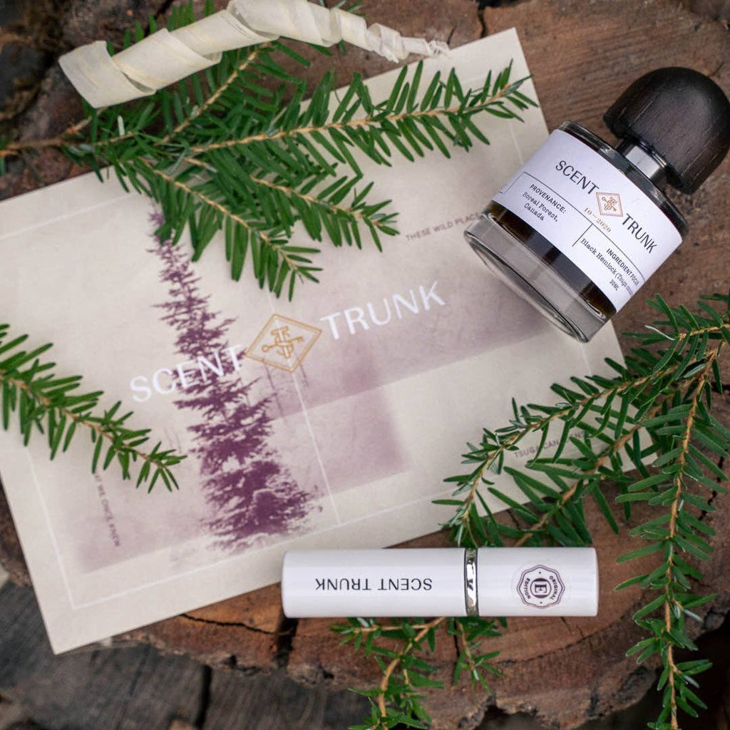 Black Hemlock