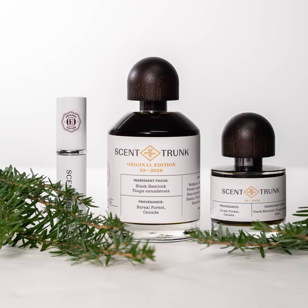 Black Hemlock
