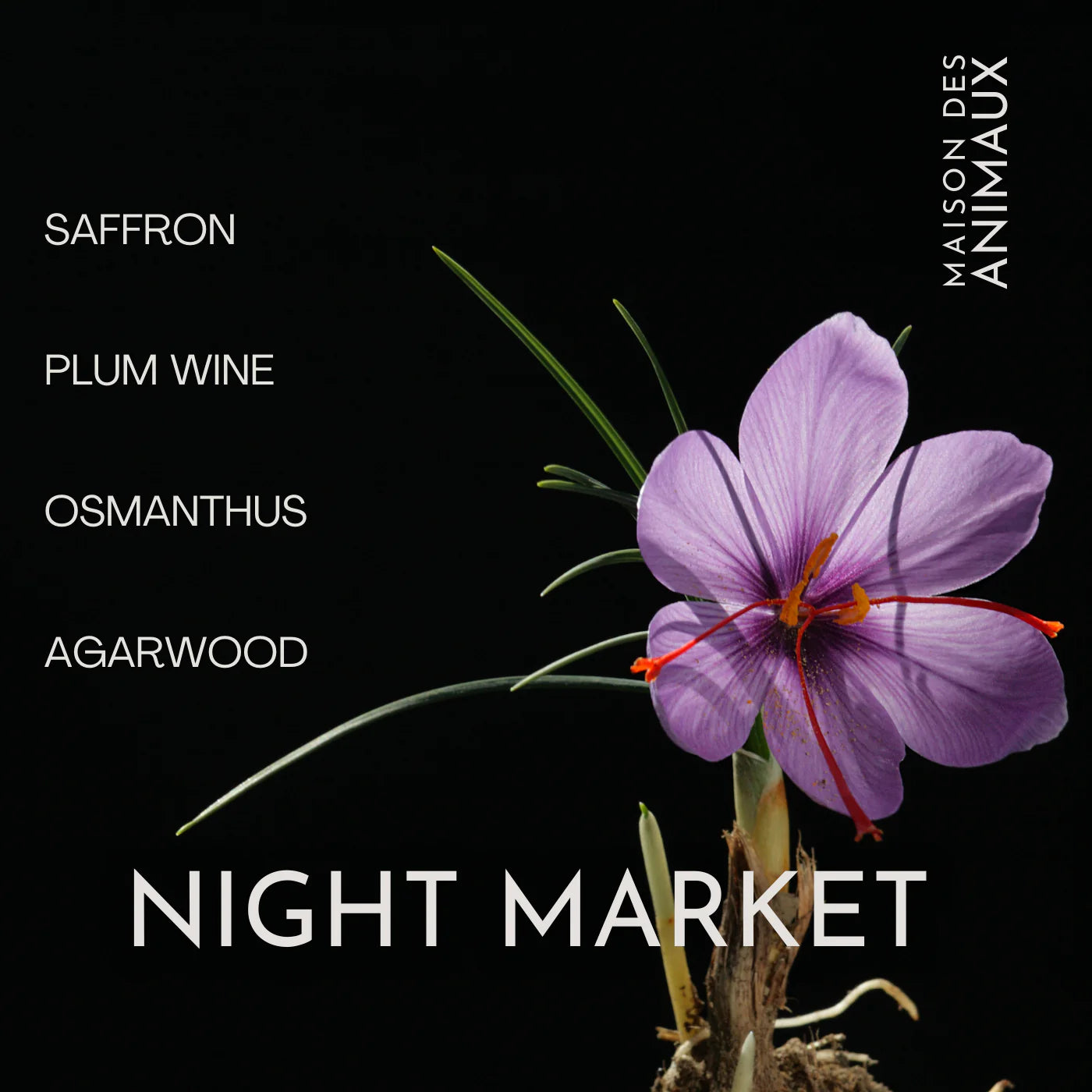Night Market