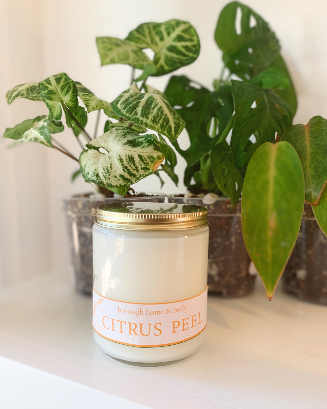 Citrus Peel scented candle in clear glass jar with gold lid, Botanical Collection, hand-poured soy wax with orange zest and rind fragrance