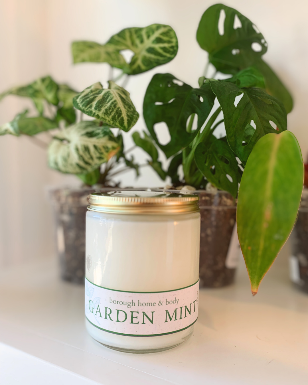 Garden Mint candle in clear glass jar with gold metal lid, part of the Botanical Collection, hand-poured soy wax with herbal mint scent