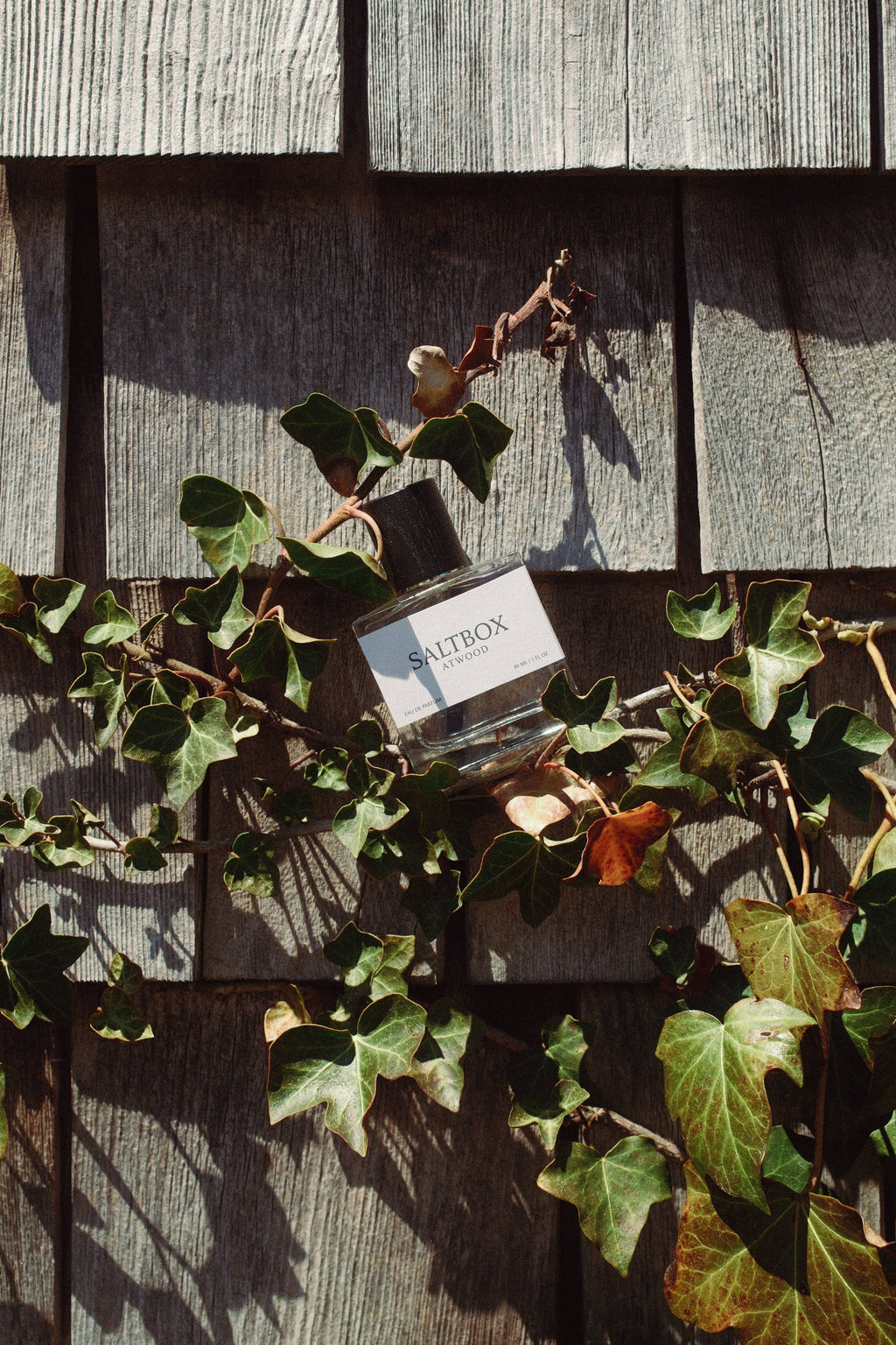 Saltbox | 30ml Eau De Parfum