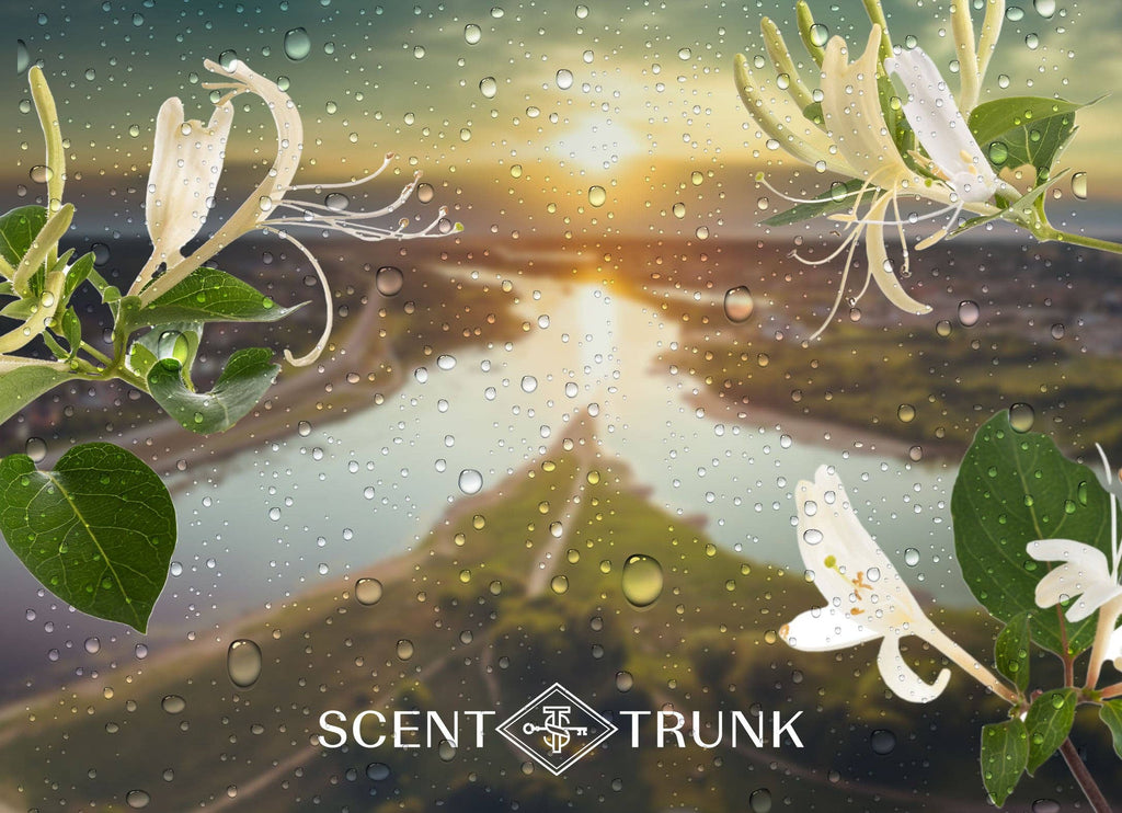 Honeysuckle Rain
